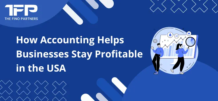 How Accounting Helps Businesses Stay Profitable in the USA